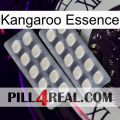 Kangaroo Essence 07